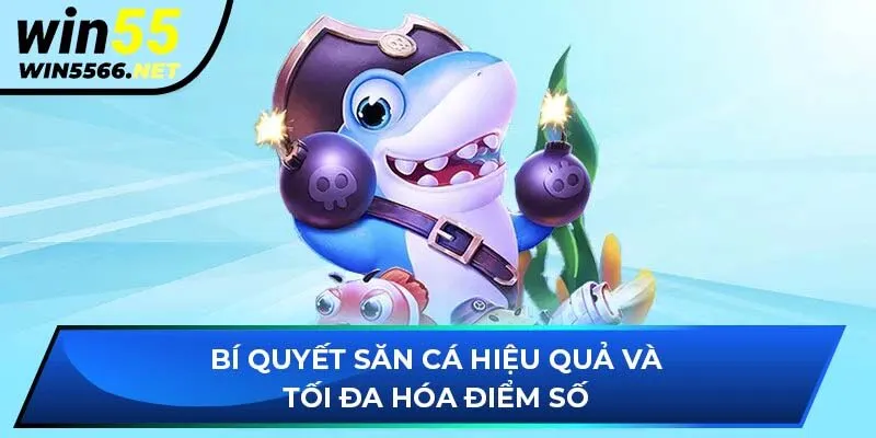 Bí quyết săn cá hiệu quả và tối đa hóa điểm số